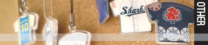 �L�[�z���_�[�E�X�g���b�v