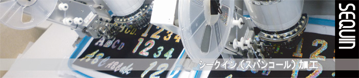 �V�[�N�C��